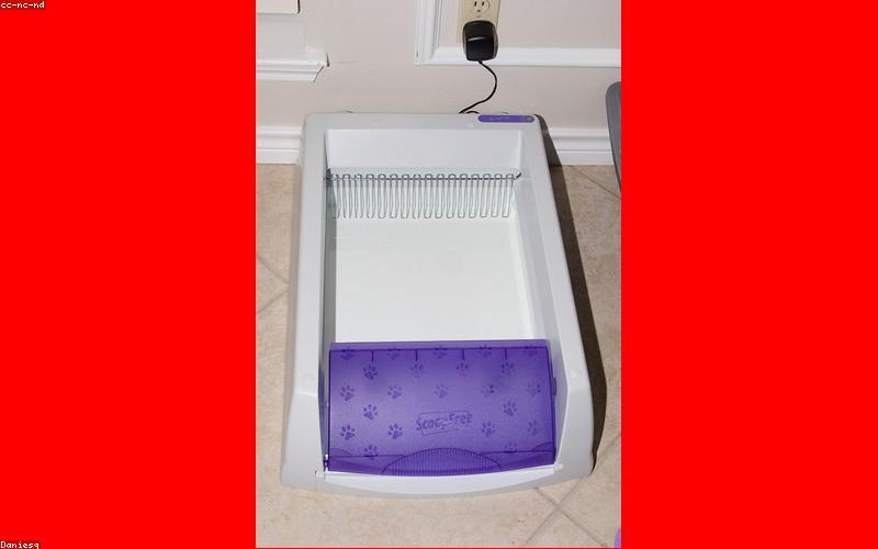 Best Cat Litter 2026