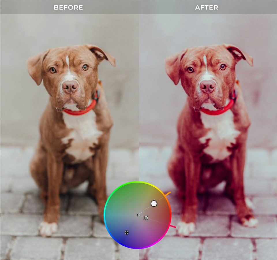 DxO PhotoLab 10 &mdash; before and after of the new colour grading wheel