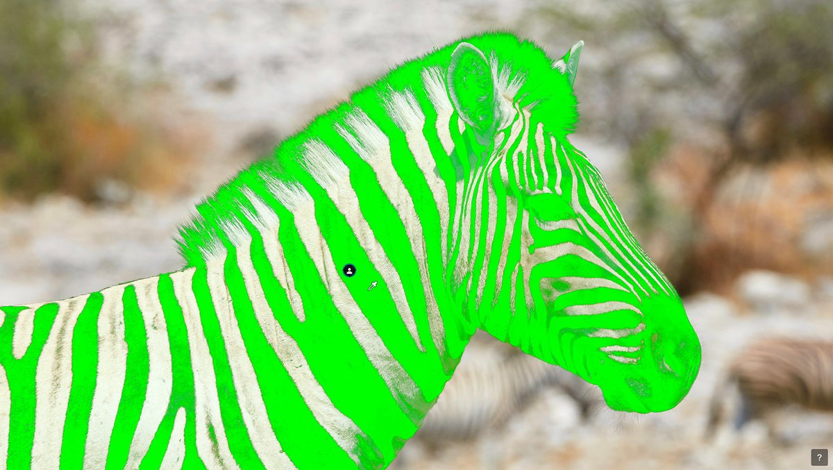 DxO PhotoLab 10 &mdash; U Point refinement applied to an AI Mask on a zebra