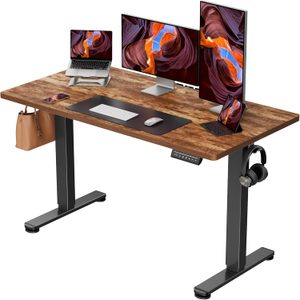 ErGear Electric Standing Desk