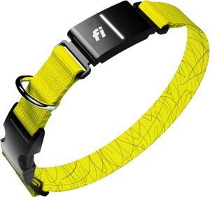 Fi Series 3 GPS dog collar for active escape dogs