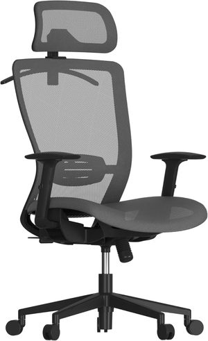 FLEXISPOT OC3 budget ergonomic chair