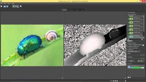 Helicon Focus software for focus stacking