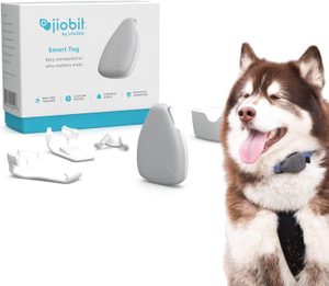 Jiobit lightweight GPS tracker for cats and small dogs