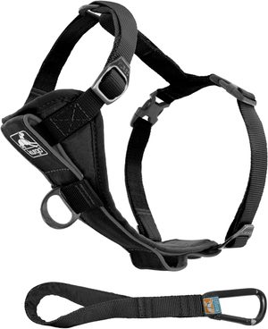Kurgo Tru-Fit crash-tested dog harness for car travel