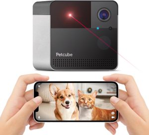 Petcube Bites 2 Lite pet camera with 1080p video and treat dispenser