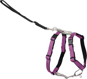 PetSafe 3-in-1 convertible no-pull dog harness