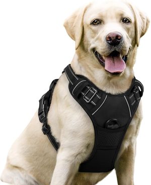 Rabbitgoo No-Pull budget dog harness with reflective strips