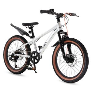 RoyalBaby 20-Inch Kids Mountain Bike