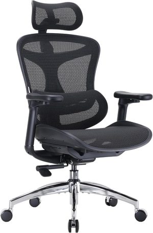 Sihoo Doro C300 ergonomic desk chair